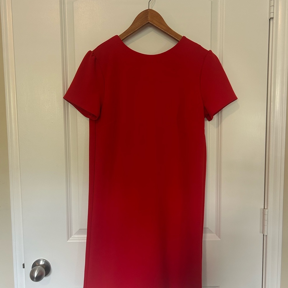 She + Sky Bold Red Mini Dress
